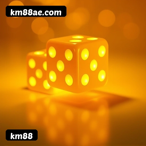 6 vantagens exclusivas do programa VIP da km88